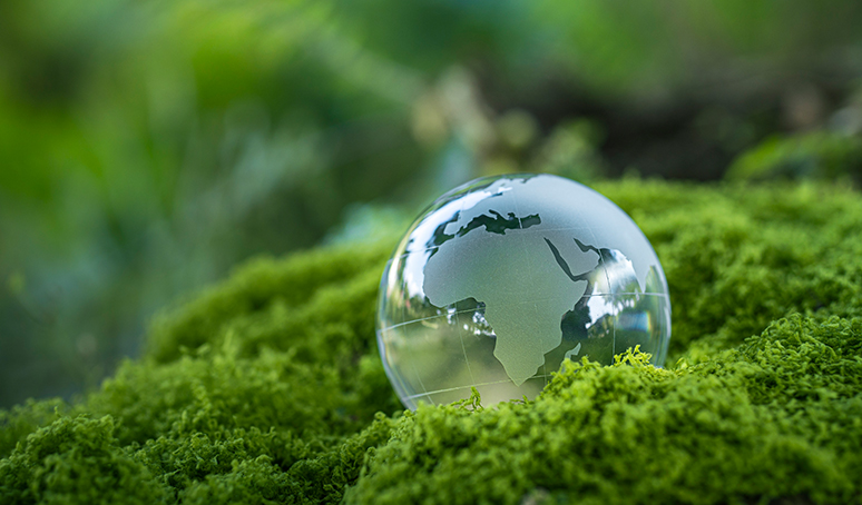 Environmental Protection